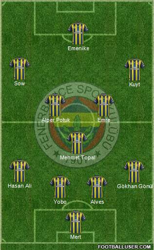 Fenerbahçe SK Formation 2013