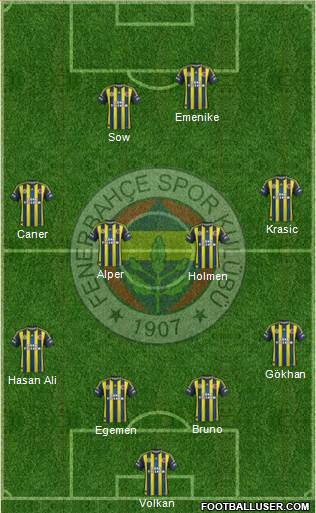 Fenerbahçe SK Formation 2013