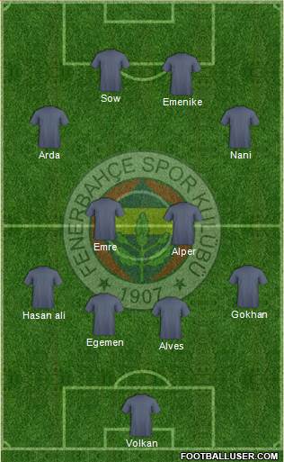 Fenerbahçe SK Formation 2013