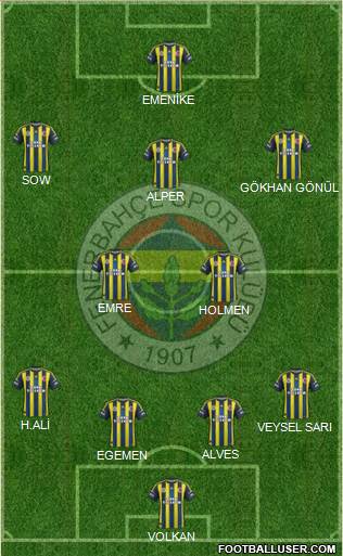 Fenerbahçe SK Formation 2013