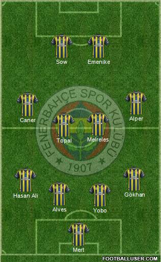 Fenerbahçe SK Formation 2013