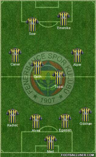 Fenerbahçe SK Formation 2013