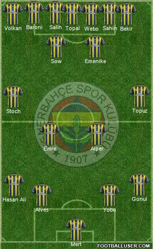 Fenerbahçe SK Formation 2013