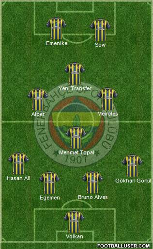 Fenerbahçe SK Formation 2013