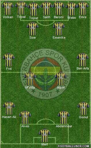 Fenerbahçe SK Formation 2013