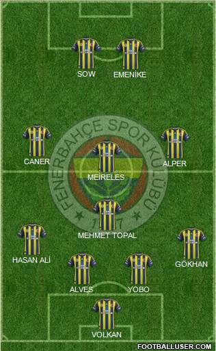 Fenerbahçe SK Formation 2013