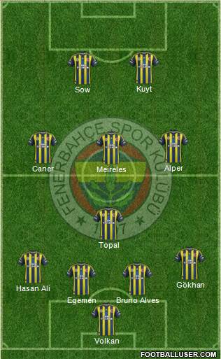 Fenerbahçe SK Formation 2013