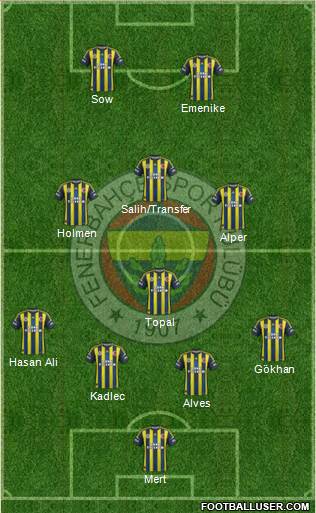 Fenerbahçe SK Formation 2013