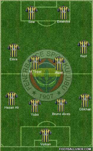 Fenerbahçe SK Formation 2013