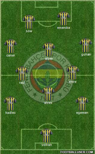 Fenerbahçe SK Formation 2013