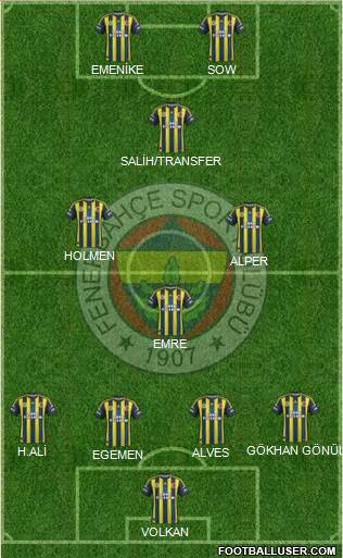 Fenerbahçe SK Formation 2013