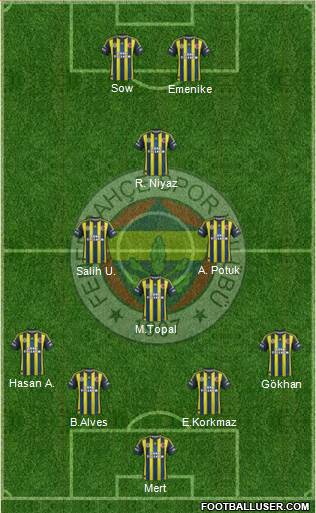 Fenerbahçe SK Formation 2013