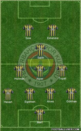 Fenerbahçe SK Formation 2013