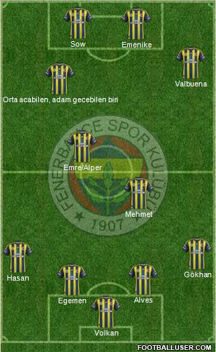 Fenerbahçe SK Formation 2013