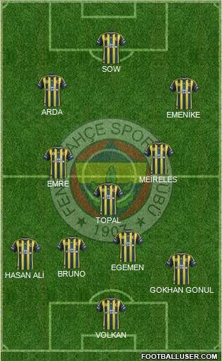 Fenerbahçe SK Formation 2013