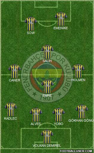 Fenerbahçe SK Formation 2013