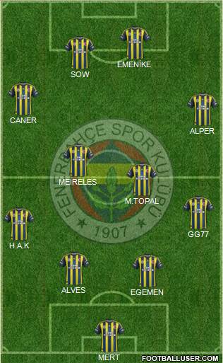 Fenerbahçe SK Formation 2013