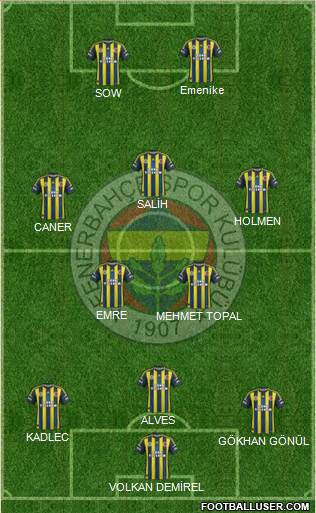 Fenerbahçe SK Formation 2013