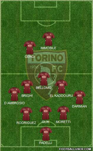 Torino Formation 2013