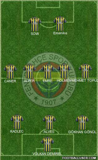 Fenerbahçe SK Formation 2013