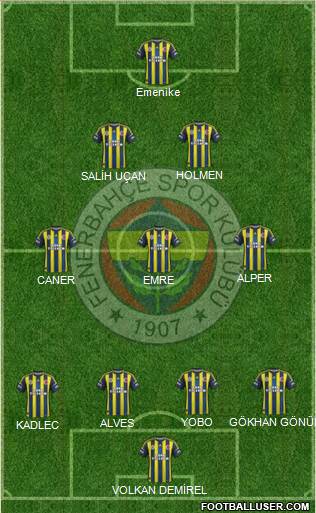 Fenerbahçe SK Formation 2013