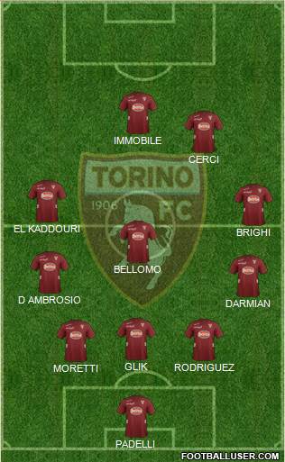 Torino Formation 2013