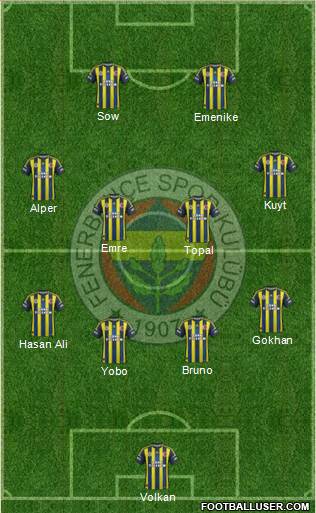 Fenerbahçe SK Formation 2013