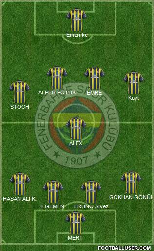 Fenerbahçe SK Formation 2013