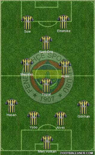 Fenerbahçe SK Formation 2013