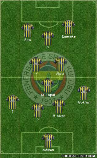 Fenerbahçe SK Formation 2013