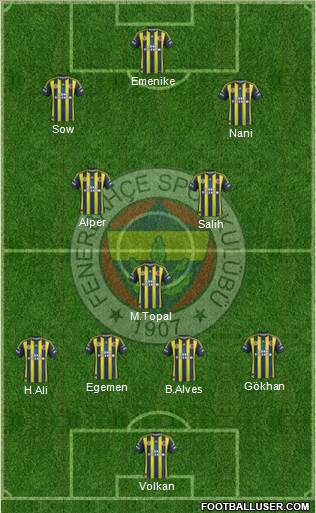 Fenerbahçe SK Formation 2013