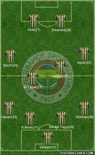 Fenerbahçe SK Formation 2013