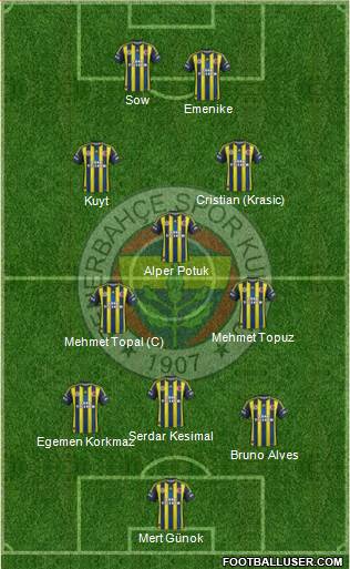 Fenerbahçe SK Formation 2013