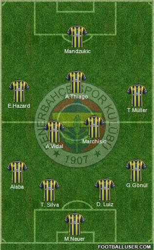 Fenerbahçe SK Formation 2013