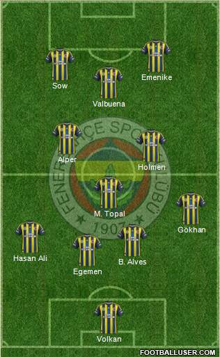 Fenerbahçe SK Formation 2013