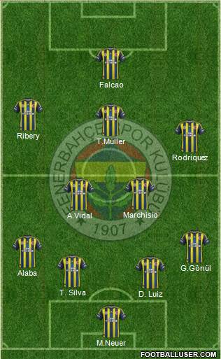 Fenerbahçe SK Formation 2013