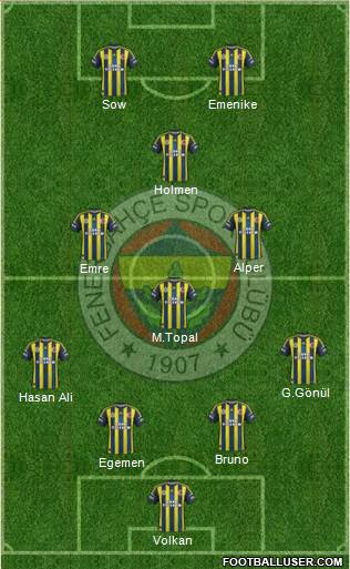 Fenerbahçe SK Formation 2013