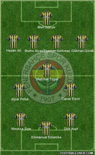 Fenerbahçe SK Formation 2013