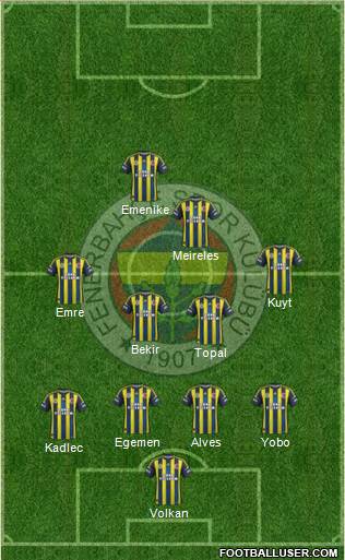 Fenerbahçe SK Formation 2013