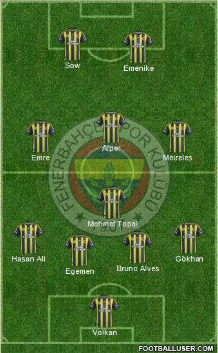 Fenerbahçe SK Formation 2013