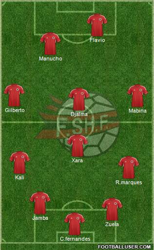 Albania Formation 2013