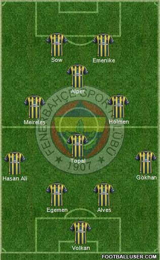 Fenerbahçe SK Formation 2013