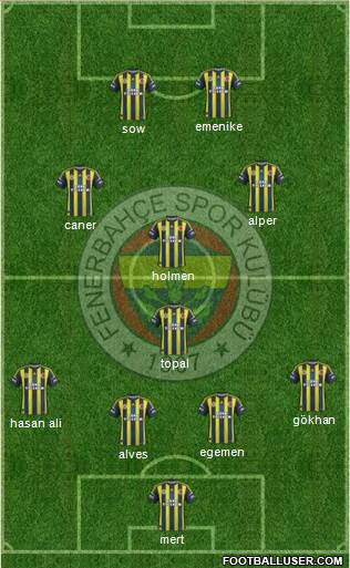 Fenerbahçe SK Formation 2013