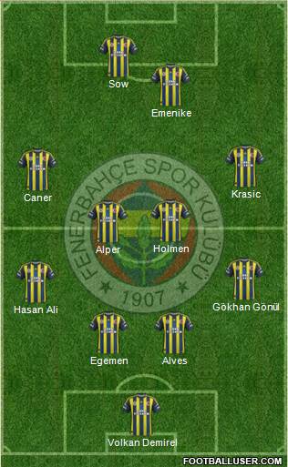 Fenerbahçe SK Formation 2013