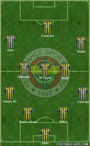 Fenerbahçe SK Formation 2013