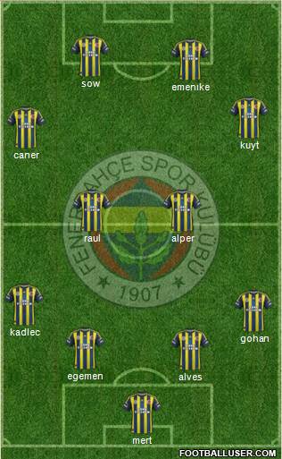 Fenerbahçe SK Formation 2013