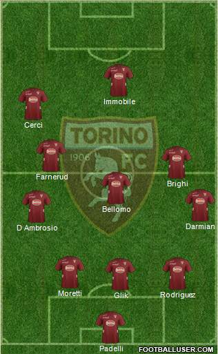 Torino Formation 2013