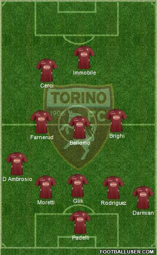 Torino Formation 2013