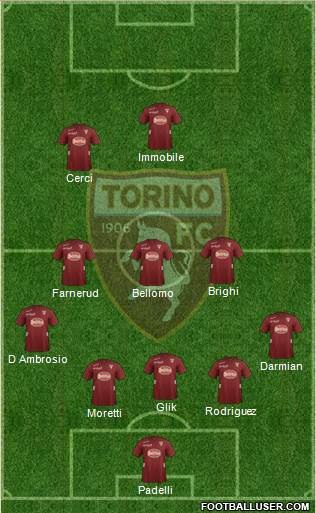 Torino Formation 2013