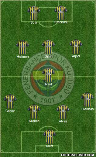 Fenerbahçe SK Formation 2013